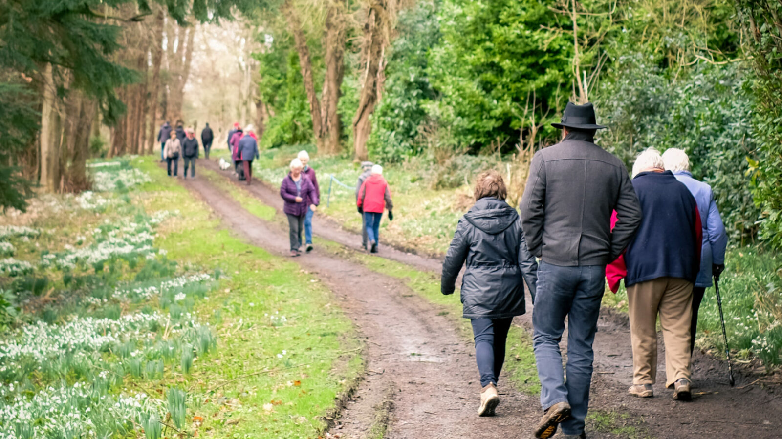 A group of people walking along a wide dirt path through a wooded area. The path is bordered by green grass and clusters of white flowers, possibly snowdrops, on the left side. Tall trees and dense green shrubs line both sides of the trail. The walkers are dressed in winter clothing, including coats and hats, and are spaced out along the path, some walking in pairs and others alone