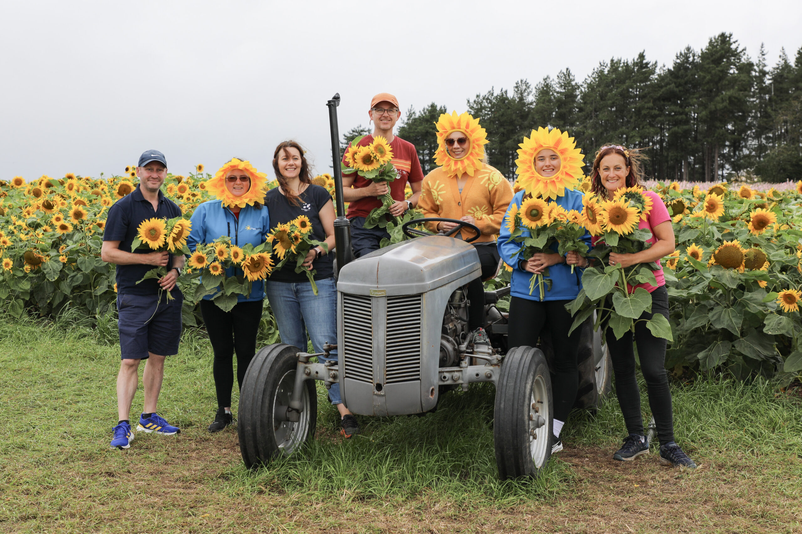 Group of seven smiling people pose in a sunflower field beside a vintage grey tractor, holding bright yellow sunflowers. Some participants wear sunflower petal headpieces, adding a cheerful and fun touch to the scene. The background features tall green trees and rows of blooming sunflowers under an overcast sky. The photo conveys a community or charity event connected to the Lingen Davies Cancer Fund, celebrating nature and positivity.