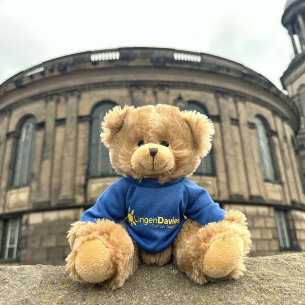 Teddy Bear